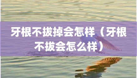 牙根不拔掉会怎样（牙根不拔会怎么样）