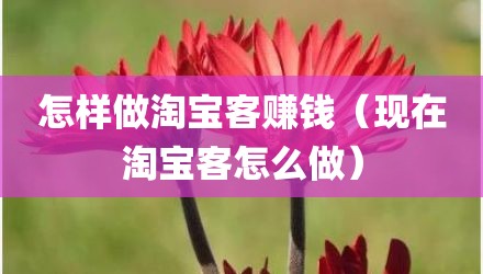 怎样做淘宝客赚钱(现在淘宝客怎么做)