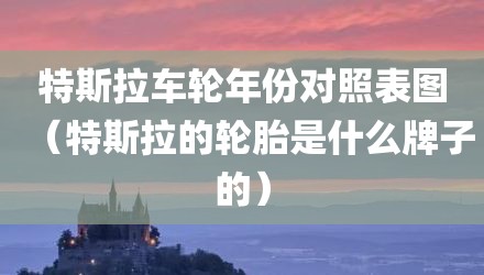 特斯拉车轮年份对照表图（特斯拉的轮胎是什么牌子的）