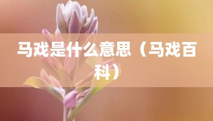 马戏是什么意思（马戏百科）