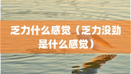 乏力什么感觉(乏力没劲是什么感觉)