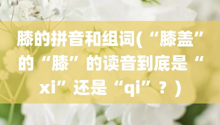 膝的拼音和组词(“膝盖”的“膝”的读音到底是“xi”还是“qi”？)