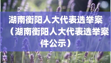 湖南衡阳人大代表选举案（湖南衡阳人大代表选举案件公示）