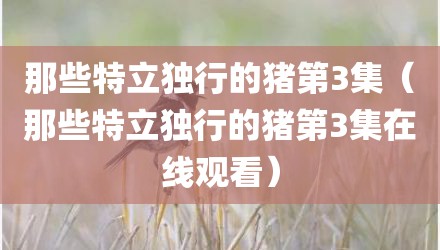 那些特立独行的猪第3集（那些特立独行的猪第3集在线观看）