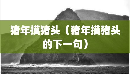 猪年摸猪头（猪年摸猪头的下一句）