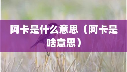 阿卡是什么意思（阿卡是啥意思）