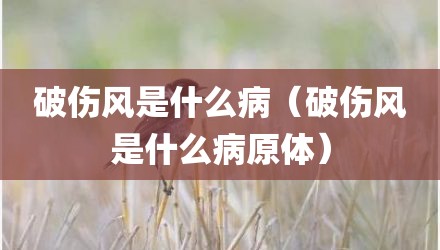 破伤风是什么病（破伤风是什么病原体）