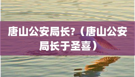 唐山公安局长?（唐山公安局长于圣喜）