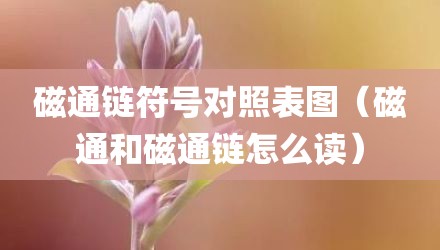 磁通链符号对照表图（磁通和磁通链怎么读）