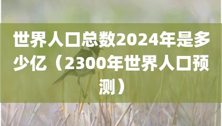 世界人口总数2024年是多少亿(2300年世界人口预测)