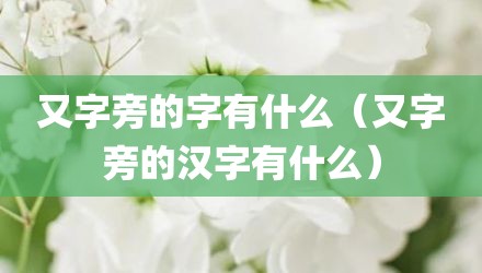 又字旁的字有什么（又字旁的汉字有什么）