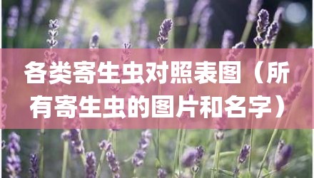 各类寄生虫对照表图（所有寄生虫的图片和名字）