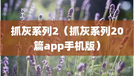 抓灰系列2（抓灰系列20篇app手机版）
