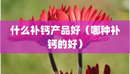 什么补钙产品好（哪种补钙的好）