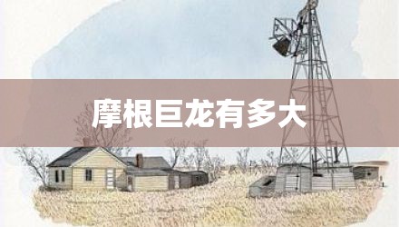 摩根巨龙有多大