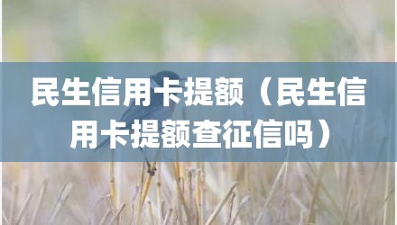 民生信用卡提额（民生信用卡提额查征信吗）