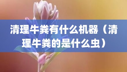 清理牛粪有什么机器（清理牛粪的是什么虫）