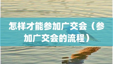 怎样才能参加广交会（参加广交会的流程）