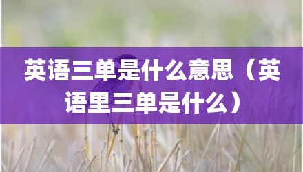 英语三单是什么意思（英语里三单是什么）