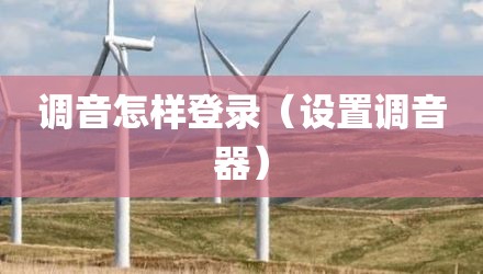 调音怎样登录（设置调音器）