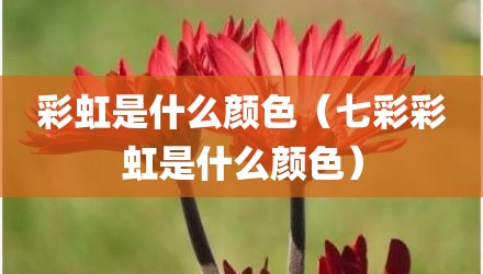 彩虹是什么颜色（七彩彩虹是什么颜色）