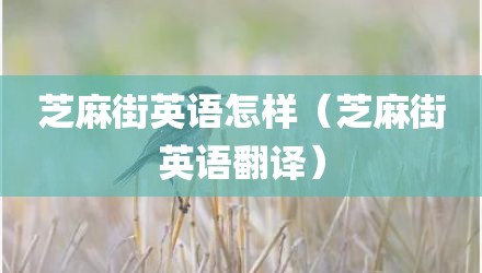 芝麻街英语怎样（芝麻街英语翻译）