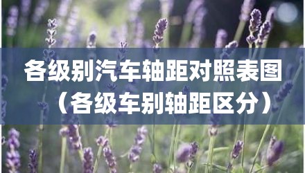 各级别汽车轴距对照表图（各级车别轴距区分）