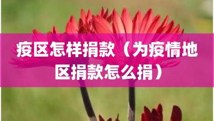疫区怎样捐款(为疫情地区捐款怎么捐)