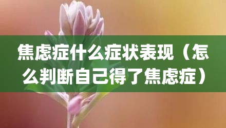 焦虑症什么症状表现(怎么判断自己得了焦虑症)