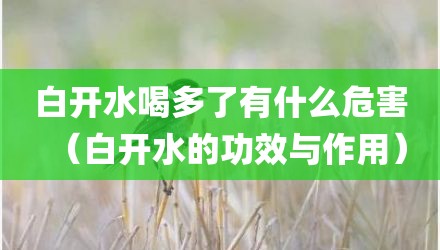 白开水喝多了有什么危害（白开水的功效与作用）
