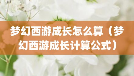 梦幻西游成长怎么算（梦幻西游成长计算公式）