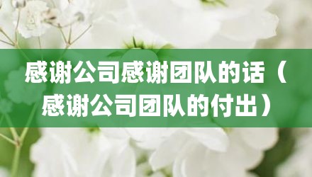 感谢公司感谢团队的话（感谢公司团队的付出）