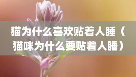 猫为什么喜欢贴着人睡(猫咪为什么要贴着人睡)