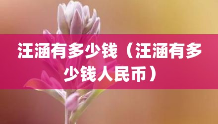 汪涵有多少钱（汪涵有多少钱人民币）