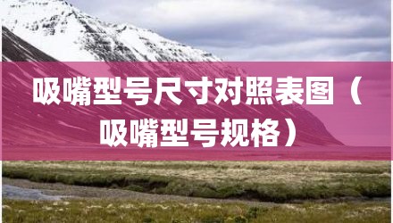 吸嘴型号尺寸对照表图（吸嘴型号规格）
