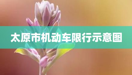 太原市机动车限行示意图