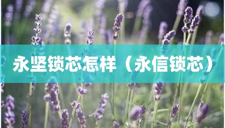 永坚锁芯怎样（永信锁芯）