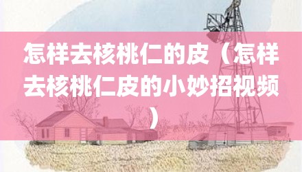 怎样去核桃仁的皮（怎样去核桃仁皮的小妙招视频）