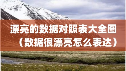 漂亮的数据对照表大全图(数据很漂亮怎么表达)