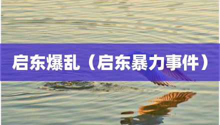 启东爆乱（启东暴力事件）
