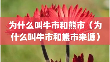 为什么叫牛市和熊市（为什么叫牛市和熊市来源）