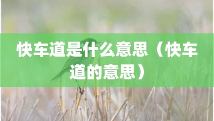 快车道是什么意思（快车道的意思）