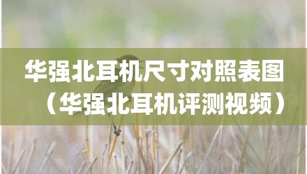 华强北耳机尺寸对照表图（华强北耳机评测视频）