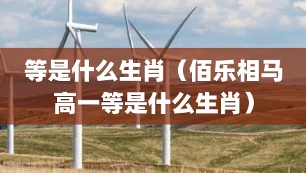 等是什么生肖（佰乐相马高一等是什么生肖）