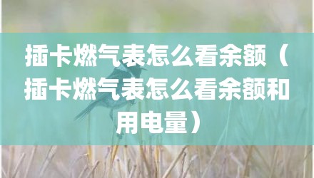 插卡燃气表怎么看余额（插卡燃气表怎么看余额和用电量）