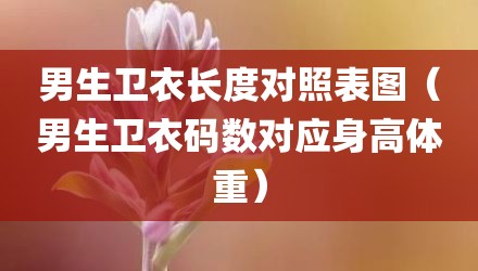 男生卫衣长度对照表图（男生卫衣码数对应身高体重）