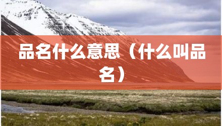 品名什么意思（什么叫品名）