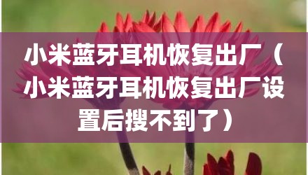 小米蓝牙耳机恢复出厂（小米蓝牙耳机恢复出厂设置后搜不到了）