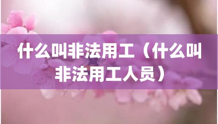 什么叫非法用工（什么叫非法用工人员）