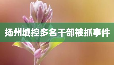 扬州城控多名干部被抓事件